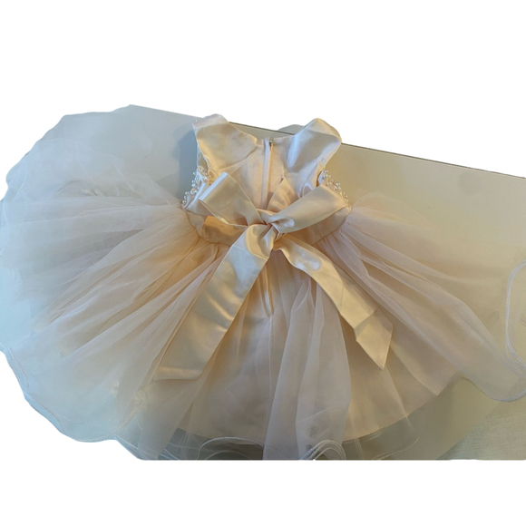 Mark & Mia Sleeveless Party Wear Frock Floral Embellishment - White xs pearls - Picture 3 of 7